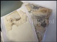 Lot 124 - A QUANTITY OF EPHEMERA RECOVERED FROM THE WRECK OF R.M.S. 'MEDINA', LOST 1917