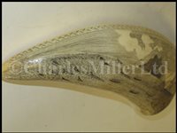 Lot 84 - Ø A FINE SAILORWORK SCRIMSHAW DECORATED WHALE'S TOOTH, 1830s-40s