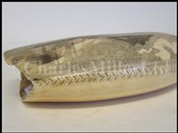 Lot 84 - Ø A FINE SAILORWORK SCRIMSHAW DECORATED WHALE'S TOOTH, 1830s-40s