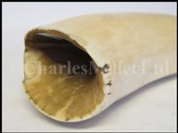 Lot 84 - Ø A FINE SAILORWORK SCRIMSHAW DECORATED WHALE'S TOOTH, 1830s-40s