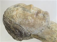 Lot 166 - AN ATTRACTIVE BRITISH MERCHANTMAN PORTRAIT FIGUREHEAD FROM THE BRIG MARY ANN OF BELFAST, 1847