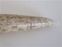 Lot 82 - Ø A 19TH CENTURY SAILORWORK FID; and a model harpoon