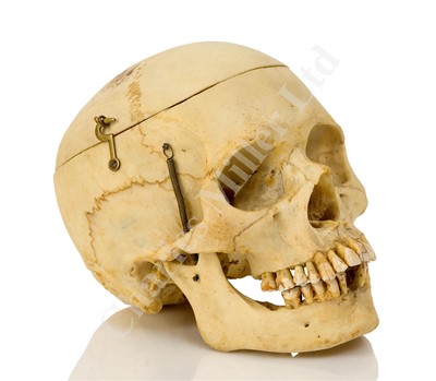 Lot 297 - A 19TH CENTURY MEDICAL STUDENT'S DIDACTIC HUMAN SKULL