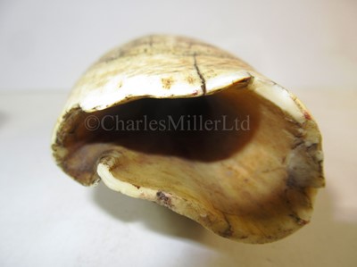 Lot 121 - Ø AN UNUSUAL SCRIMSHAW DECORATED WHALE'S TOOTH