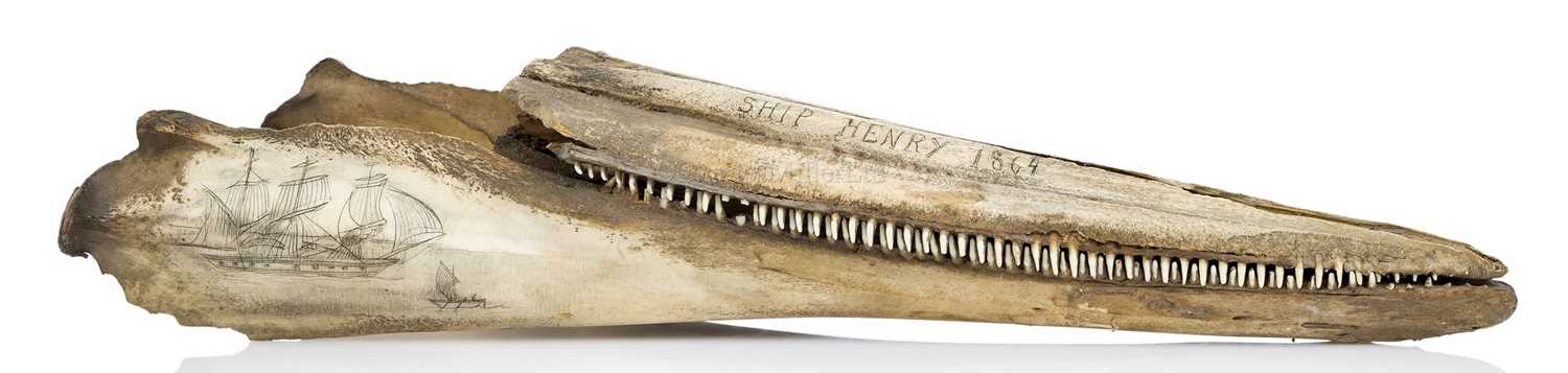 Lot 36 - A PAIR OF 19TH CENTURY SCRIMSHAW DECORATED BOTTLENOSED DOLPHIN JAWS