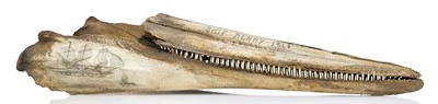 Lot 36 - A PAIR OF 19TH CENTURY SCRIMSHAW DECORATED BOTTLENOSED DOLPHIN JAWS