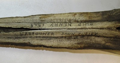 Lot 36 - A PAIR OF 19TH CENTURY SCRIMSHAW DECORATED BOTTLENOSED DOLPHIN JAWS