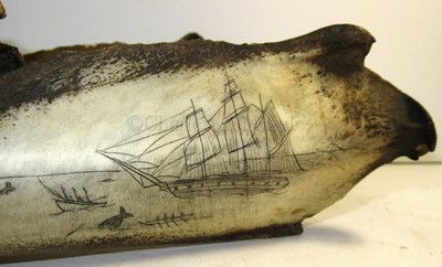 Lot 36 - A PAIR OF 19TH CENTURY SCRIMSHAW DECORATED BOTTLENOSED DOLPHIN JAWS