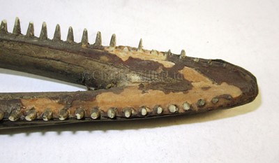 Lot 36 - A PAIR OF 19TH CENTURY SCRIMSHAW DECORATED BOTTLENOSED DOLPHIN JAWS
