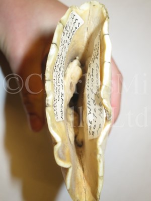 Lot 114 - Ø A BRITISH SAILORWORK SCRIMSHAW DECORATED WHALE'S TOOTH, CIRCA 1825