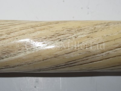 Lot 45 - Ø A FINE 19TH CENTURY NARWHAL TUSK