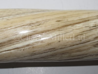Lot 45 - Ø A FINE 19TH CENTURY NARWHAL TUSK