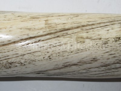 Lot 45 - Ø A FINE 19TH CENTURY NARWHAL TUSK