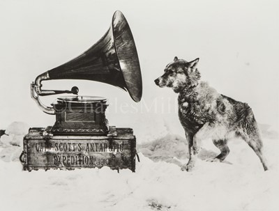 Lot 248 - HERBERT PONTING (1870-1935) - A sledge dog listening to the gramophone