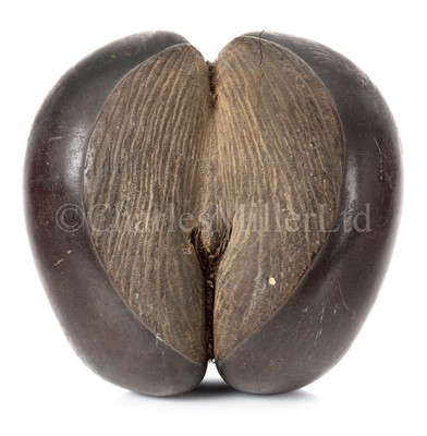 Lot 28 - Ø A COCO DE MER [LODOICEA MALDIVICA], SEYCHELLES, 20TH CENTURY