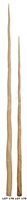 Lot 178 - Ø AN EARLY 20TH CENTURY NARWHAL TUSK (MONODON...