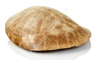 Lot 180 - Ø A MID-19TH CENTURY SOUTH AMERICAN RIVER...
