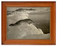 Lot 65 - STUDIO OF HERBERT G. PONTING<br/>A Weddell...