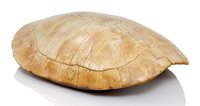 Lot 106 - Ø A MID-19TH CENTURY SOUTH AMERICAN RIVER...