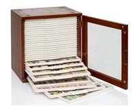 Lot 224 - A COLLECTION OF 19TH CENTURY ENTOMOLOGICAL...