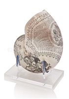 Lot 109 - A LARGE SCRIMSHAW-DECORATED NAUTILUS SHELL...