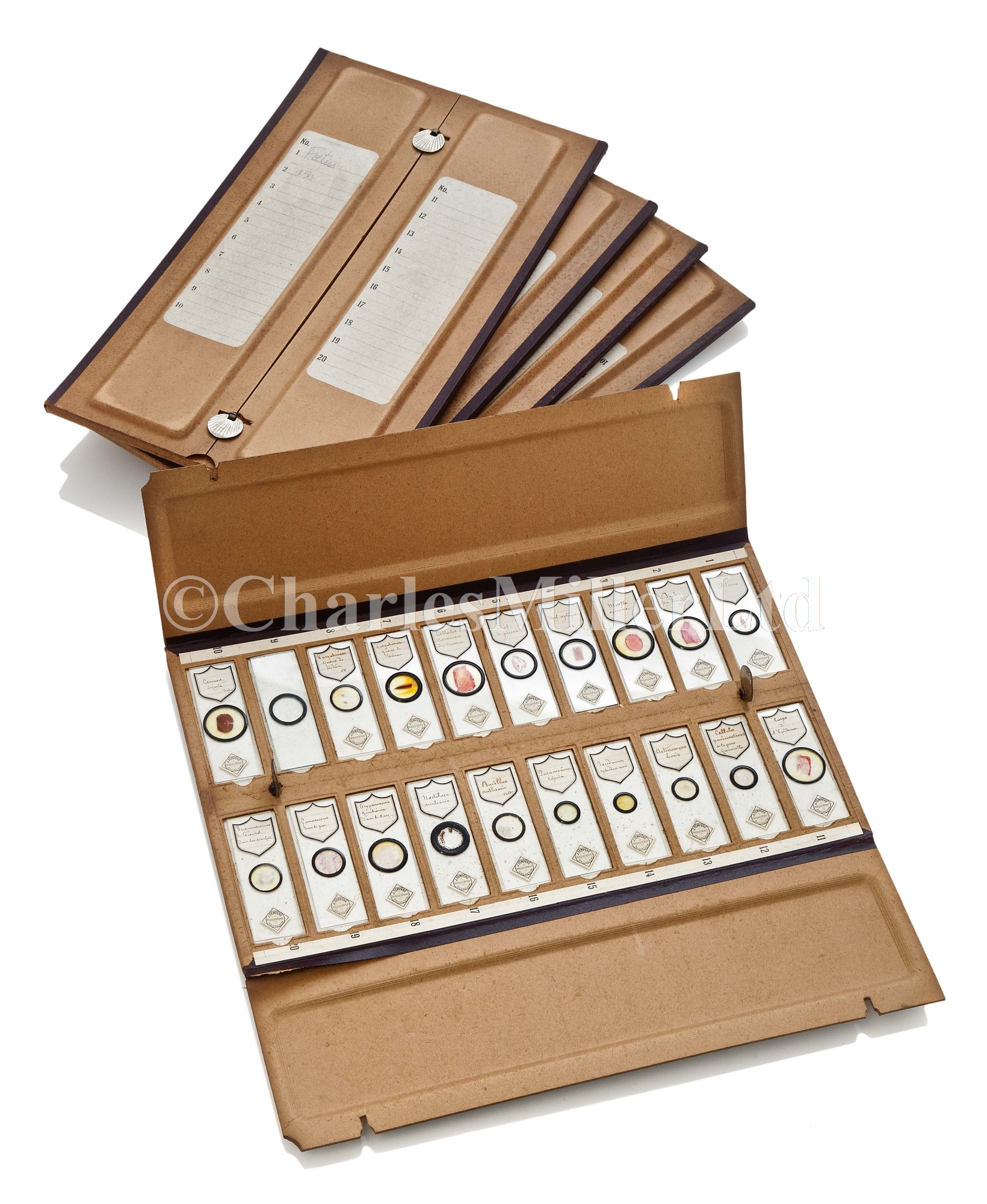 Lot 268 - MICROSCOPE SLIDES PREPARED BY J. TEMPÈRE,