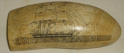 Lot 100 - A SCRIMSHAW-DECORATED WHALE'S TOOTH<br/>incised...