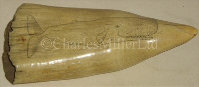 Lot 102 - A LARGE 19TH-CENTURY SCRIMSHAW-DECORATED...