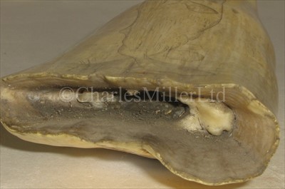 Lot 102 - A LARGE 19TH-CENTURY SCRIMSHAW-DECORATED...