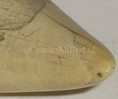 Lot 102 - A LARGE 19TH-CENTURY SCRIMSHAW-DECORATED...
