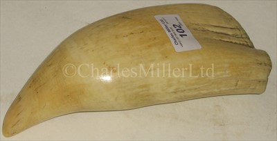 Lot 102 - A LARGE 19TH-CENTURY SCRIMSHAW-DECORATED...