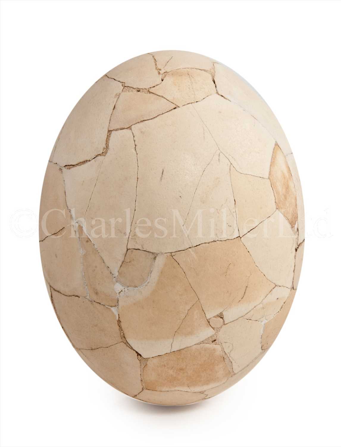 Lot 108 - A RECONSTRUCTED ELEPHANT BIRD EGG (AEPYORNIS...