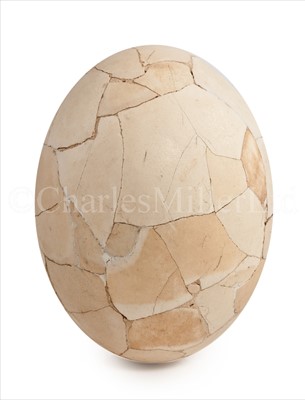 Lot 108 - A RECONSTRUCTED ELEPHANT BIRD EGG (AEPYORNIS...
