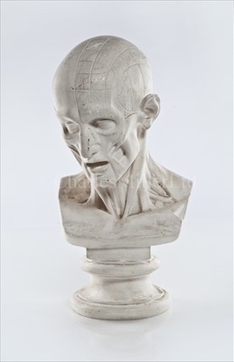 Lot 206 - A 19TH-CENTURY FRENCH PHRENOLOGY HEAD <br/>the...