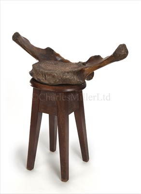 Lot 125 - AN UNUSUAL 19TH-CENTURY WHALE'S VERTEBRÆ...